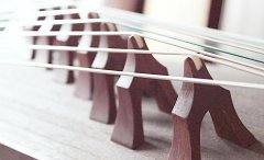 初学者买什么古筝好，老师推荐的古筝不能买