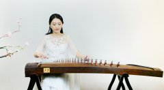 初学者买什么古筝好(选购指南)